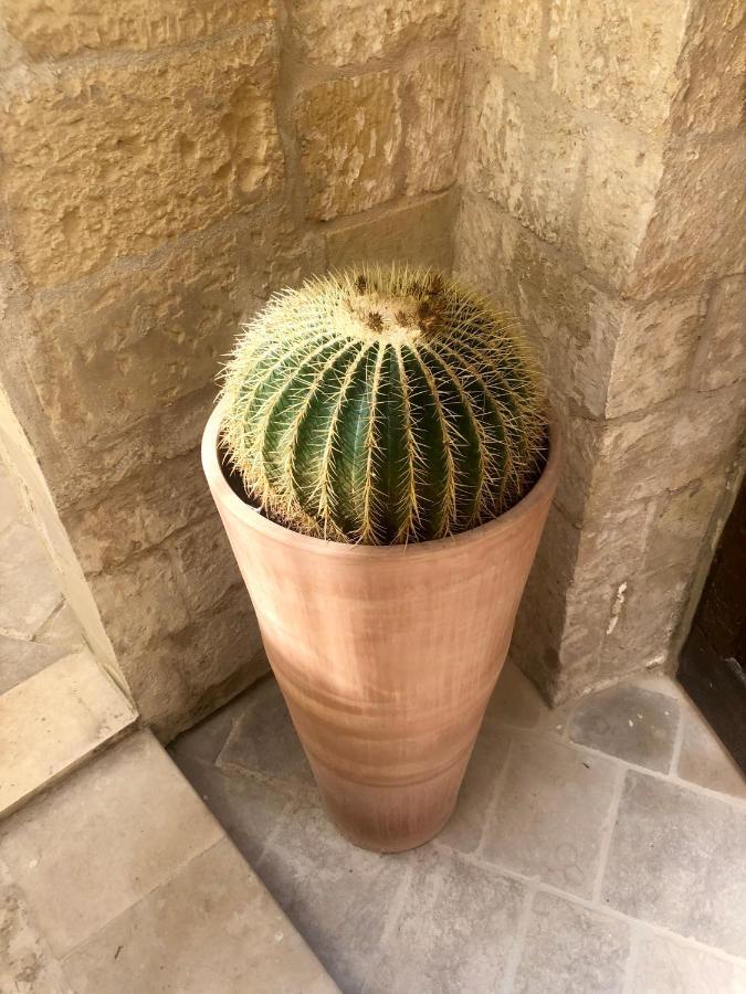 Appart hôtel Lu Leccio